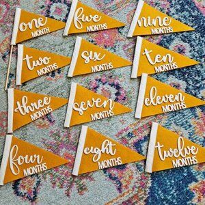Baby monthly milestone cards / flags / pennants